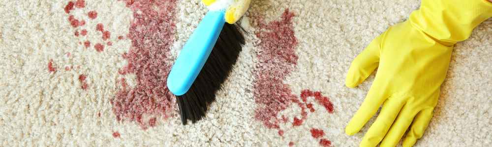 getting blood out of carpet