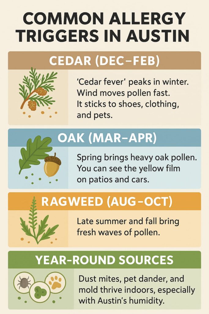 Infographic showing common allergy triggers in Austin by season: cedar pollen in winter, oak pollen in spring, ragweed in late summer and fall, plus year-round indoor sources like dust mites, pet dander, and mold.