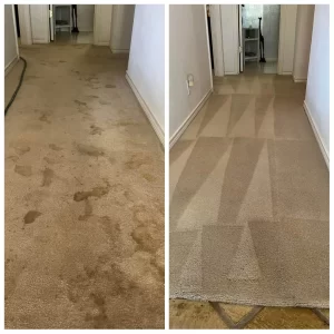 carpet cleaning west lake hills