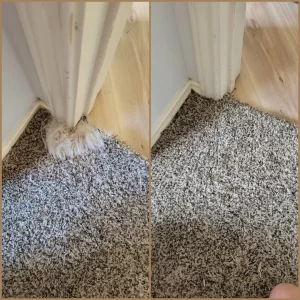 west lake hills carpet repair