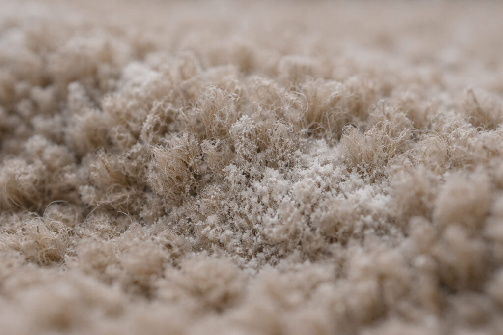 Close-up of baking soda residue trapped in carpet fibers, showing how powder deodorizers embed and cause buildup.