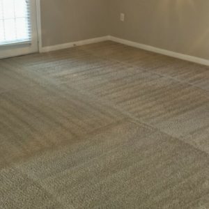 dust-free carpet