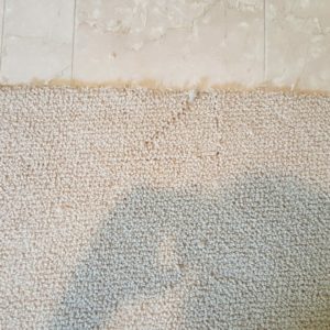 carpet repair sample