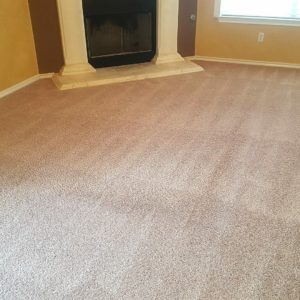 home carpet cleaner