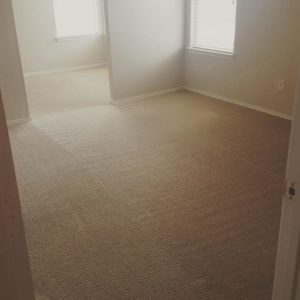 home carpet - cleaned